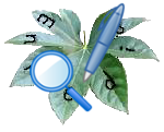 Enpedia sysop.png