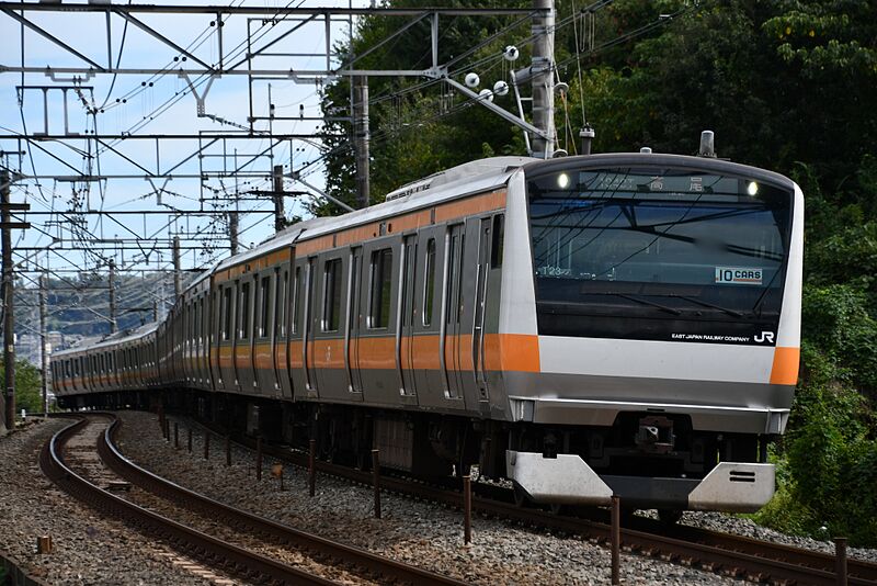 ファイル:ハチトタ T23.jpeg