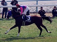 Meisho Doto 20020113.jpg