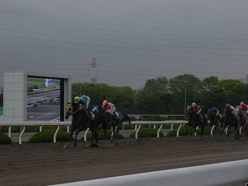 ファイル:Sun Clint.JPG