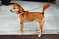 2025-05-05T19:54:39時点における版のサムネイル