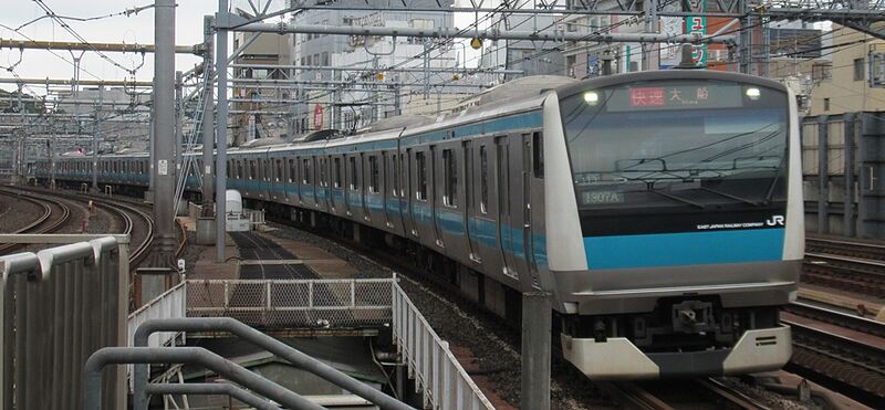 ファイル:E233-1000-Sai113.jpg