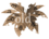 Old enpedia.png