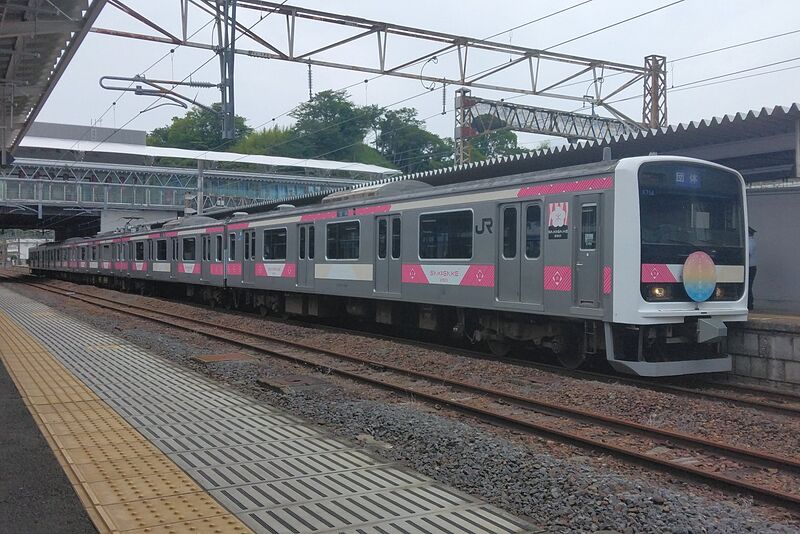 ファイル:Series E501 K754 SAKIGAKE.jpg