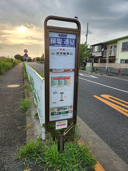 ファイル:桜堤通りバス停留所 1番のりば.jpg