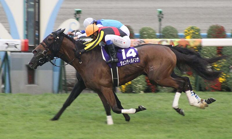 ファイル:17th Shuka-sho 20121017.jpg