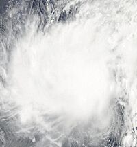 台風第1号