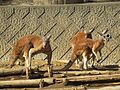 2026-10-10T17:05:33時点における版のサムネイル