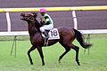 2025-04-29T20:47:08時点における版のサムネイル