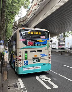 IMG sugimaru SHort.jpg