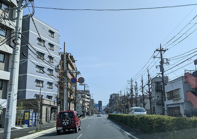 ファイル:南武沿線道路.jpg