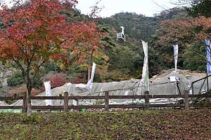 紅葉にはえるロープウェイ