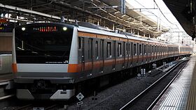 HolidayRapid Okutama Akigawa E233 0 H46.jpg