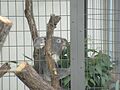 2026-10-06T19:20:48時点における版のサムネイル