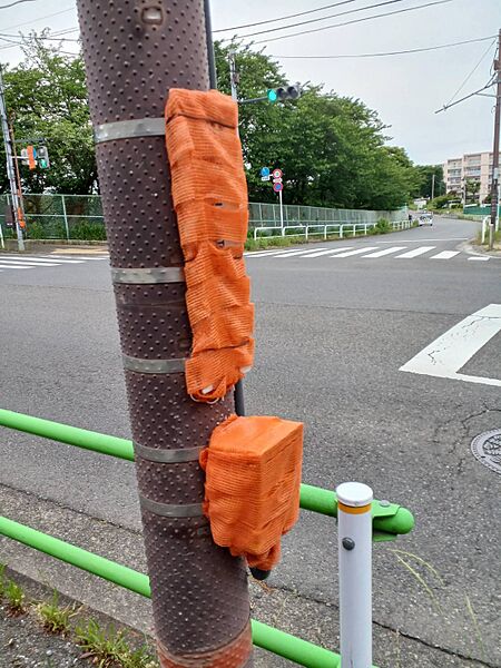 ファイル:テープで封じられた押しボタン式信号機.jpg