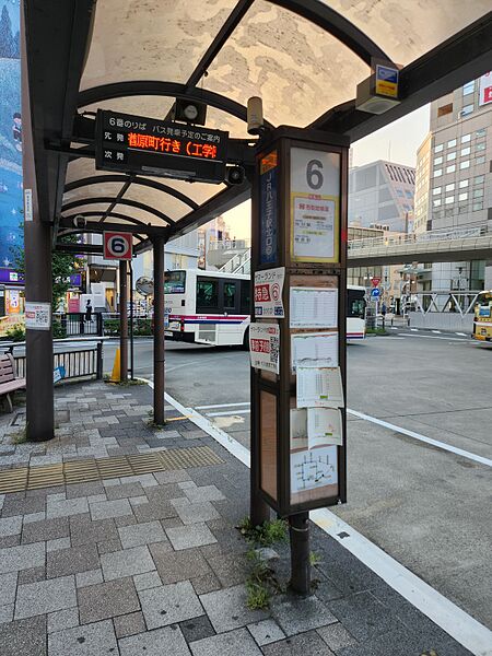 ファイル:八王子駅北口バス停留所 6番のりば.jpg