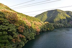 揖斐峡右岸の紅葉と揖斐川