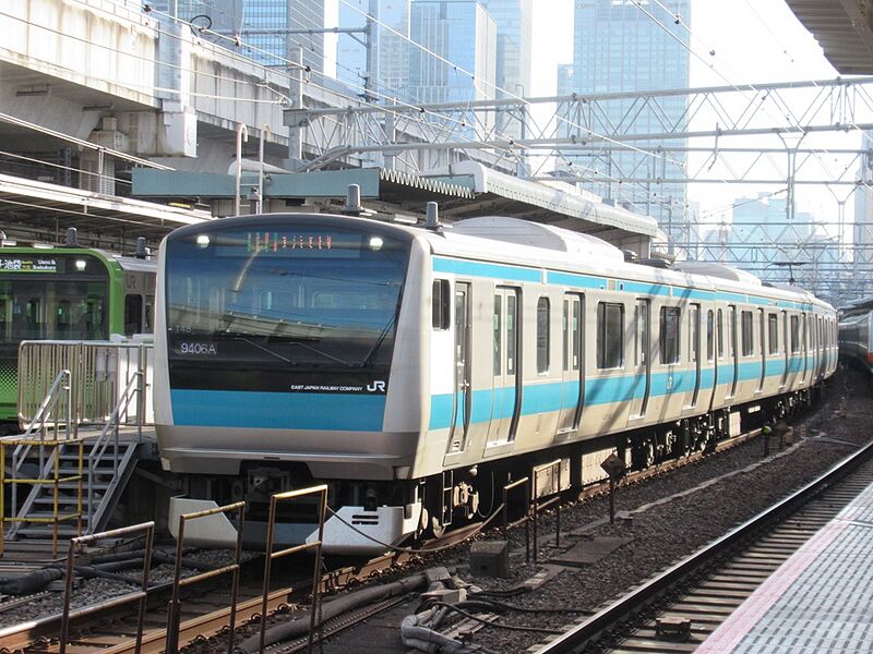 ファイル:E233-1000-Sai148.jpg