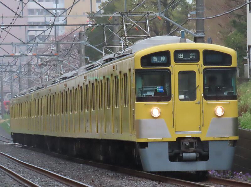 ファイル:Seibu2000SS.jpg
