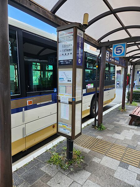 ファイル:八王子駅北口バス停留所 5番のりば.jpg