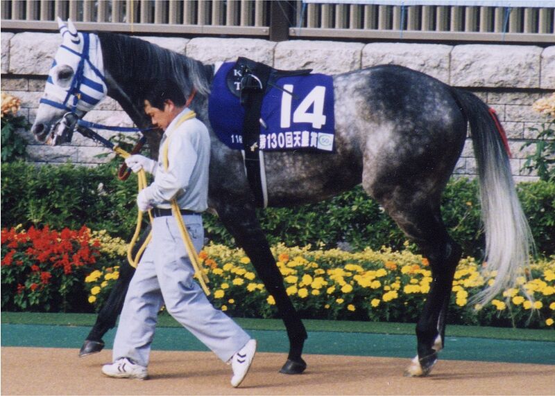 ファイル:Hishi Miracle 20041031P1.jpg