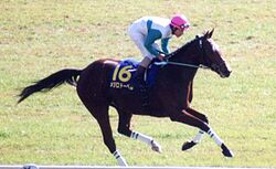 Mejiro Dober 19991121R1.jpg