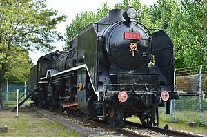 D51 8 in Daimotsu Park.jpg