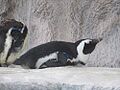 2025-05-07T22:59:35時点における版のサムネイル