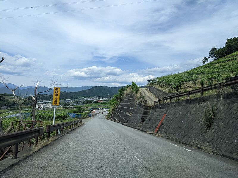 ファイル:フルーツライン (山梨県).jpg