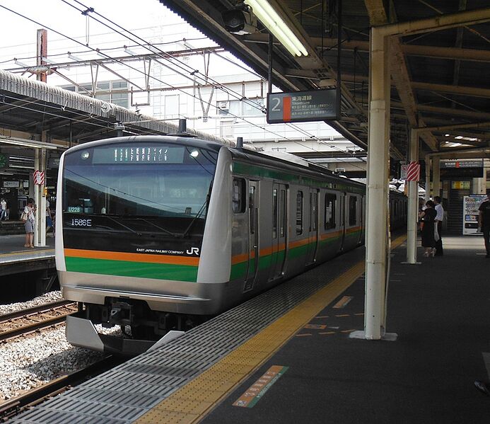 ファイル:E233-3000-U228.jpg