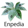 Wiki.png