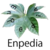 Wiki.png
