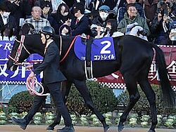 Contrail paddock 2019 hopeful stakes .jpg