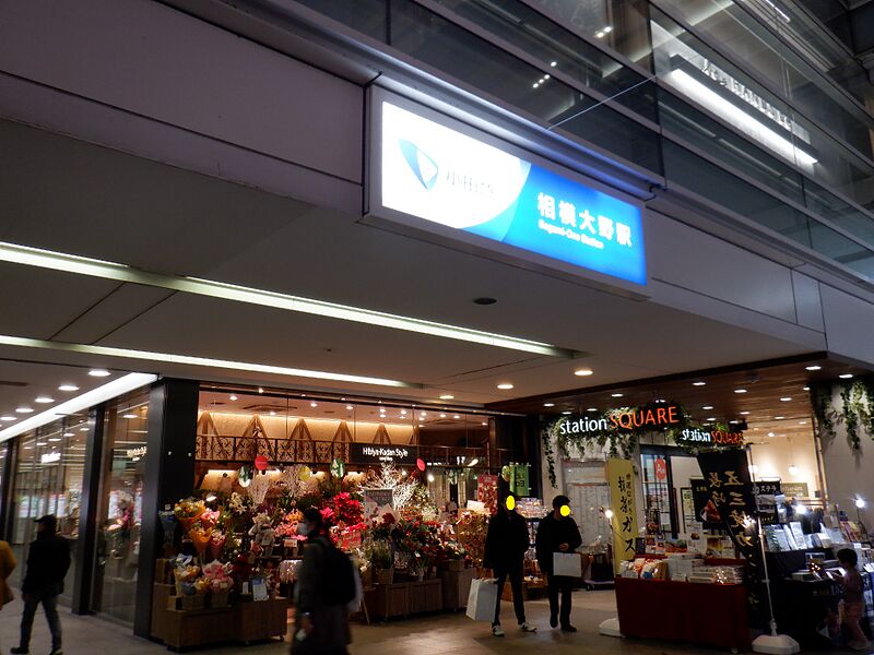 ファイル:Sagami-Ono Station.jpg