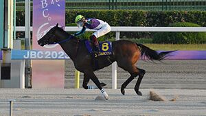 Igniter Japan Breeding Farms' Cup Sprint 2023.jpg