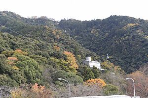 金華山の紅葉