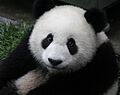 2022-07-29T17:48:34時点における版のサムネイル