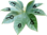Enpedia logo2.png