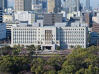 Osaka Prefectural Government Main Building view from Osaka Castle.jpg