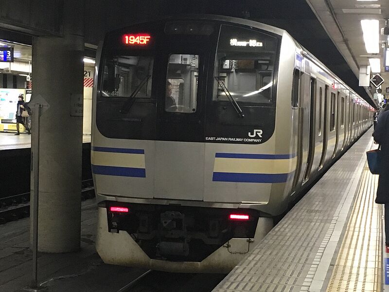ファイル:E217系Y44編成.jpg