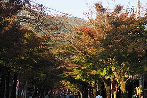 少し時期が早い紅葉