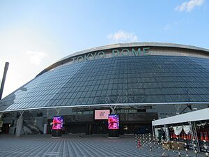 Tokyo dome.jpg