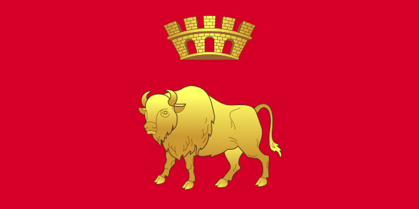 ファイル:Flag of Hrodna Voblasts.svg