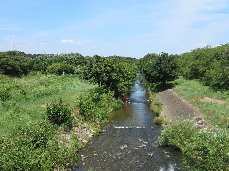 ファイル:Yanase River.jpg